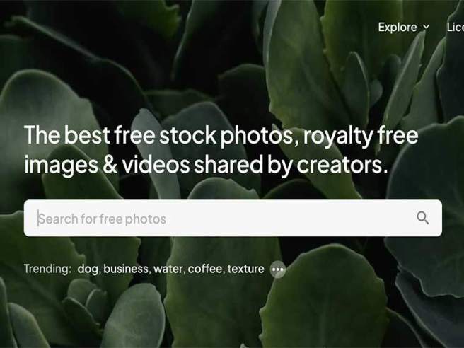 Pexels Stock Photos